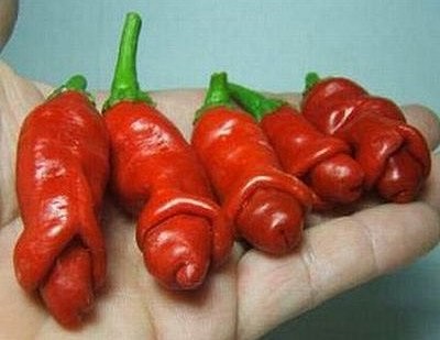 Убойные фотографии