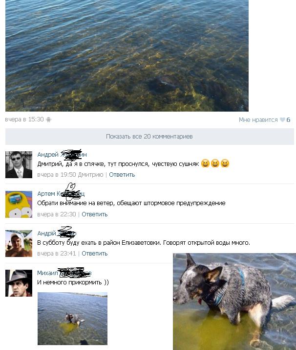 Смешные комментарии из социальных сетей