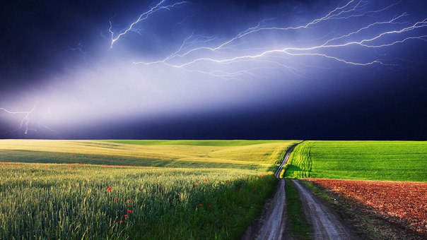 Интересные и веселые картинки