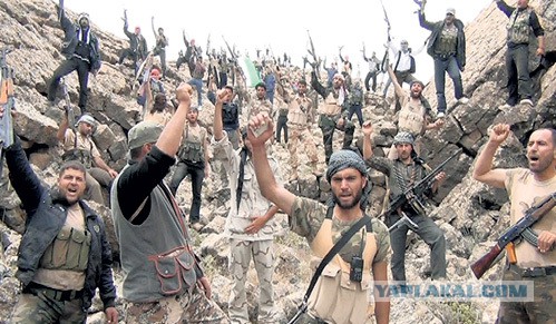 Зачем Вам Крым?