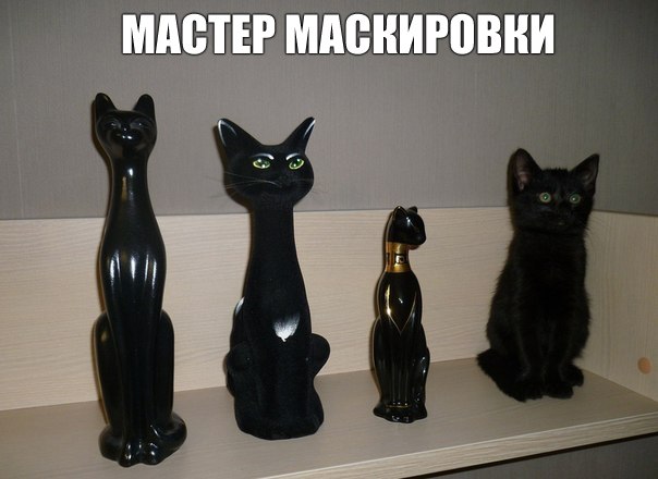 Подборка интересных и веселых фото