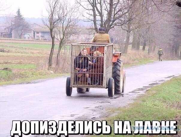 Ужасы и приколы из соцсетей 18+