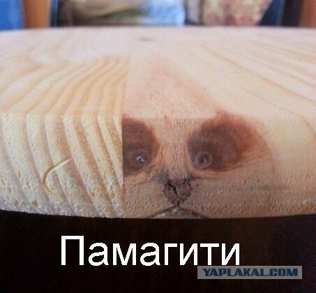 Смешные картинки из сети на 10.10.16