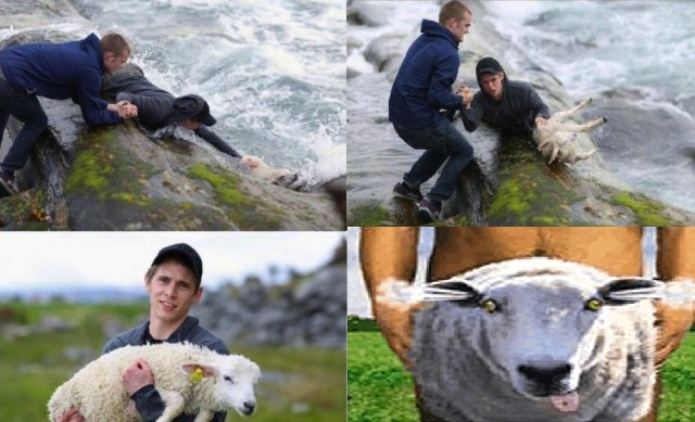 Слегка чёрный юморок