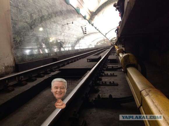 Бордовая ветка московского метро встала.