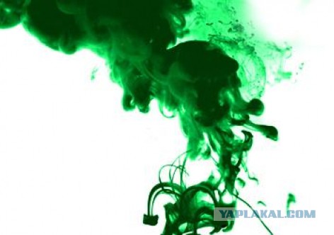 История одной семьи