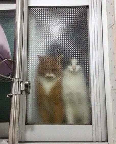 Набористый набор картинок