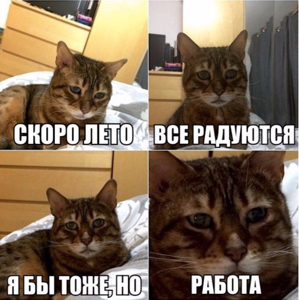 Подборка интересных и веселых картинок
