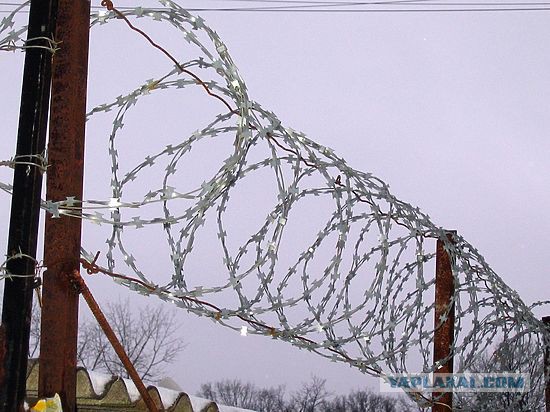 Первый день на новой работе