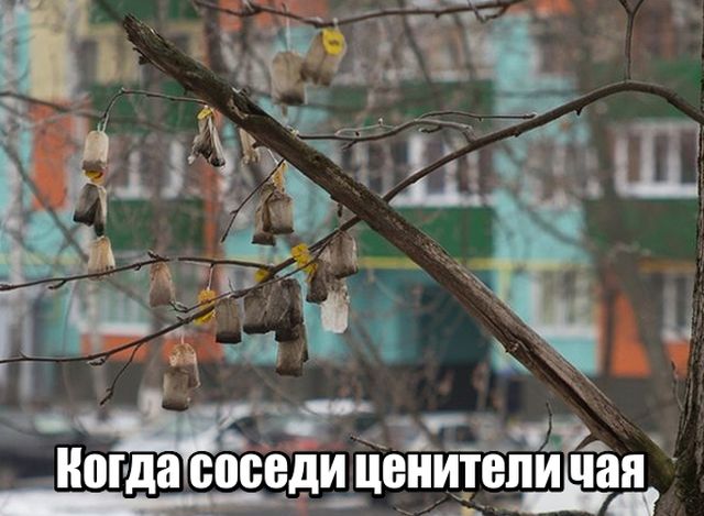Подборка интересных и веселых картинок