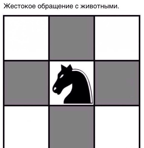 Жизнь, наполненная чудесами и волшебством
