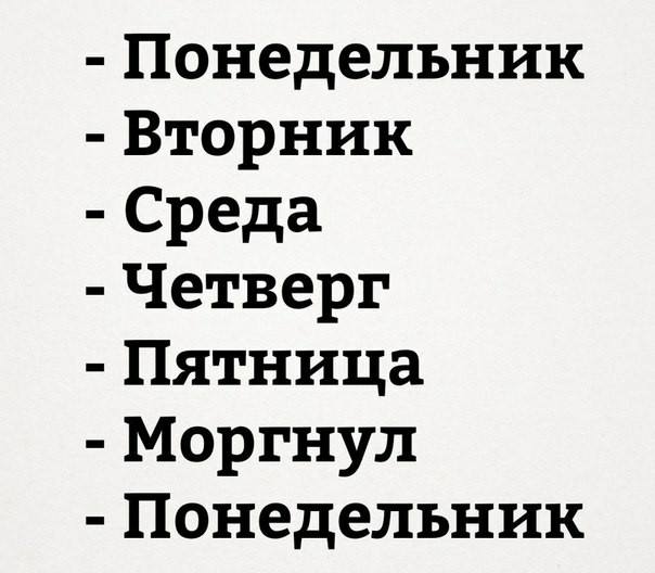 Итоги проверки пользователей