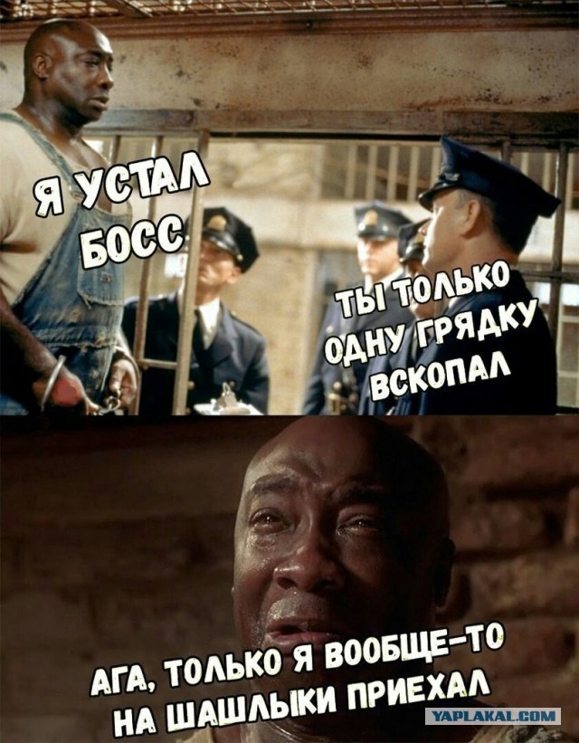 Схрон. Книга вторая
