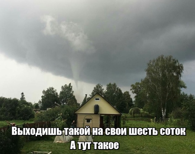 Прикольные картинки абавсём