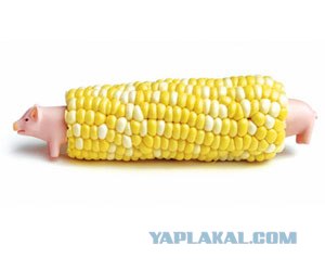 Угадайки