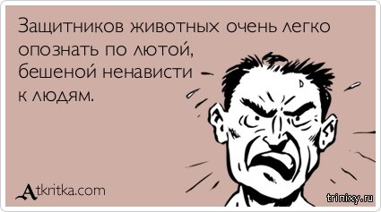 Зарубил топором собаку на глазах у детей