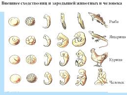 В России под дождем провели детский крестный ход ради хороших оценок