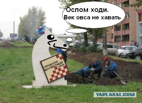 Суровые шахматисты