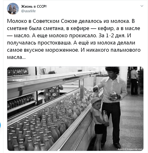 Как России слезть с «пальмы»: Почему вместо нормальных молочных продуктов нам предлагают суррогаты на основе пальмового масла