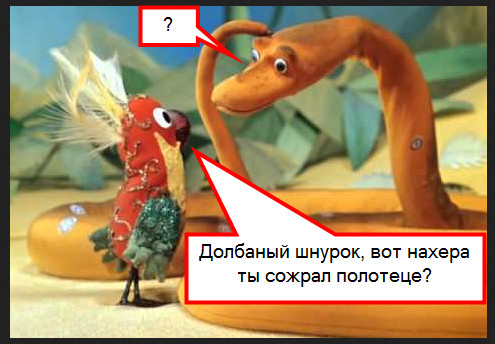 Спасение питона, проглотившего пляжное полотенце