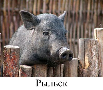 Поиграем в города?!