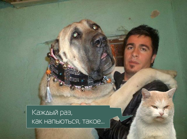 Фотожаба: Товарищи