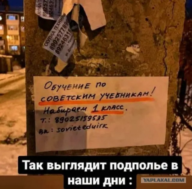 Зачем убивают русскую школу?