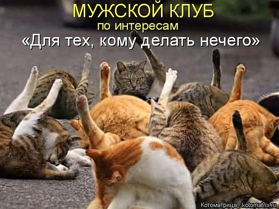 Жизнь - сложная штука
