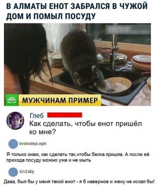 Картинки и мемы для настроения 13.04.2021