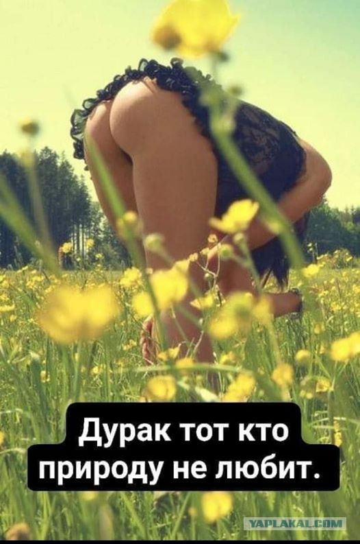 Насохранял
