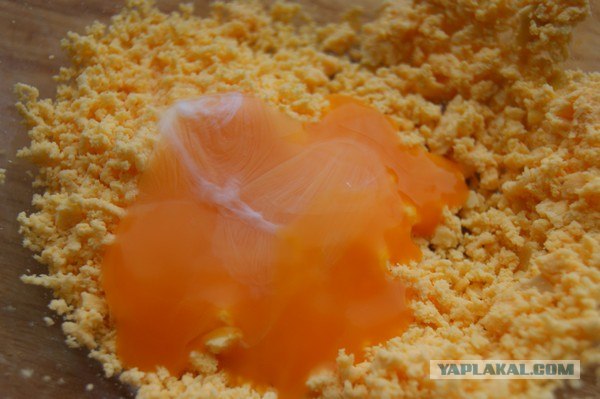 Все из рыбы!