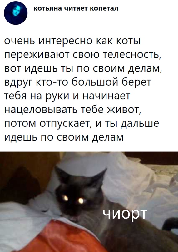 Весёлый полтишок 31.08