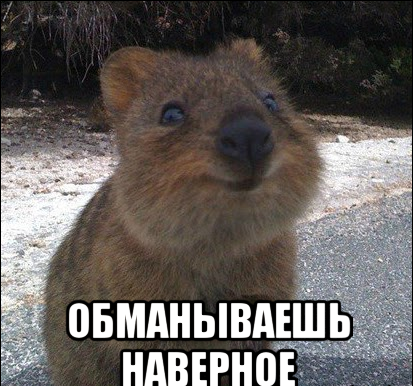 А из какой кружки вы пьёте на работе?