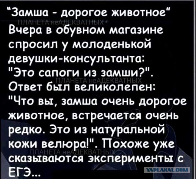Всяческие картинки 24.11.2021