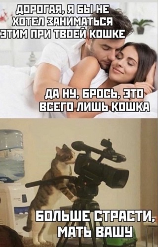 Так себе картинки 22.12.21