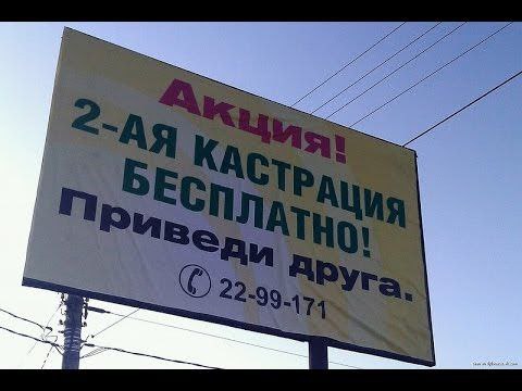 Всяческие картинки 24.12.2021