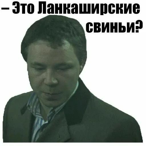Мангалица это не только ценный мех