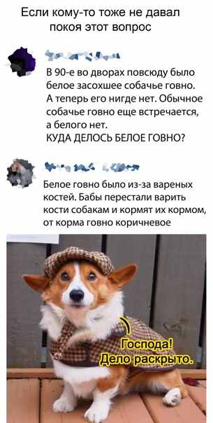 ГовноТема, для деградантов