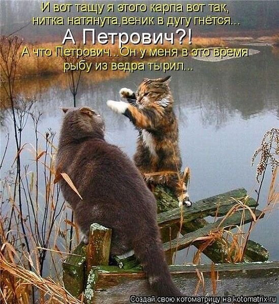 Прикольные и просто красивые картинки 27.04.2022