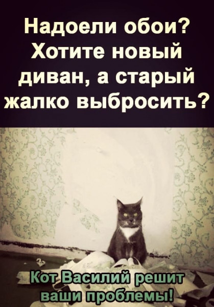 Пятница. И немного слегка пошлых картинок с надписями и без 16+ (24.06)