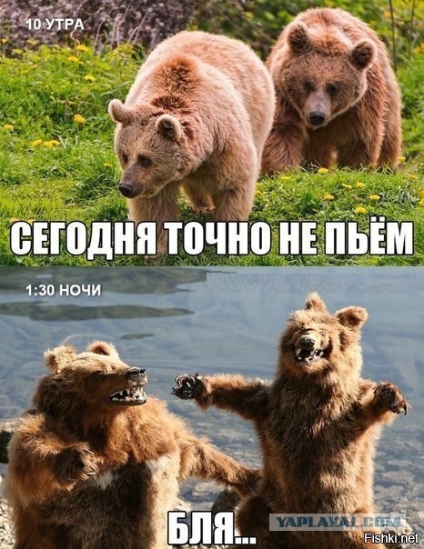 «Чё вам, бабам, надо?» Баба ответила...