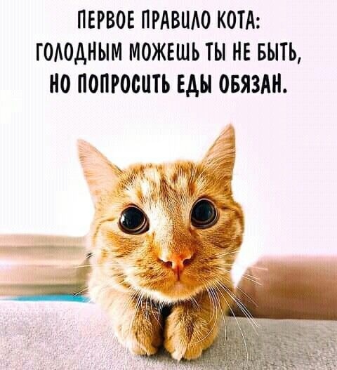 Так себе картинки 09.09.22