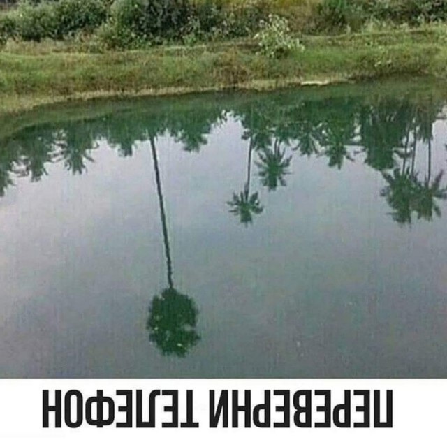 Картинки и мемы, всем хороших выходных