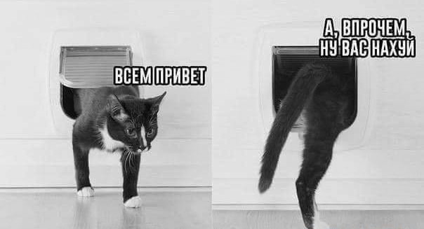 Что такое ИЖ