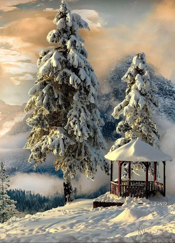 Замолчи мама