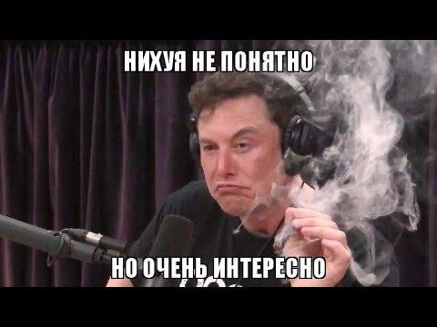 Поляки на связи