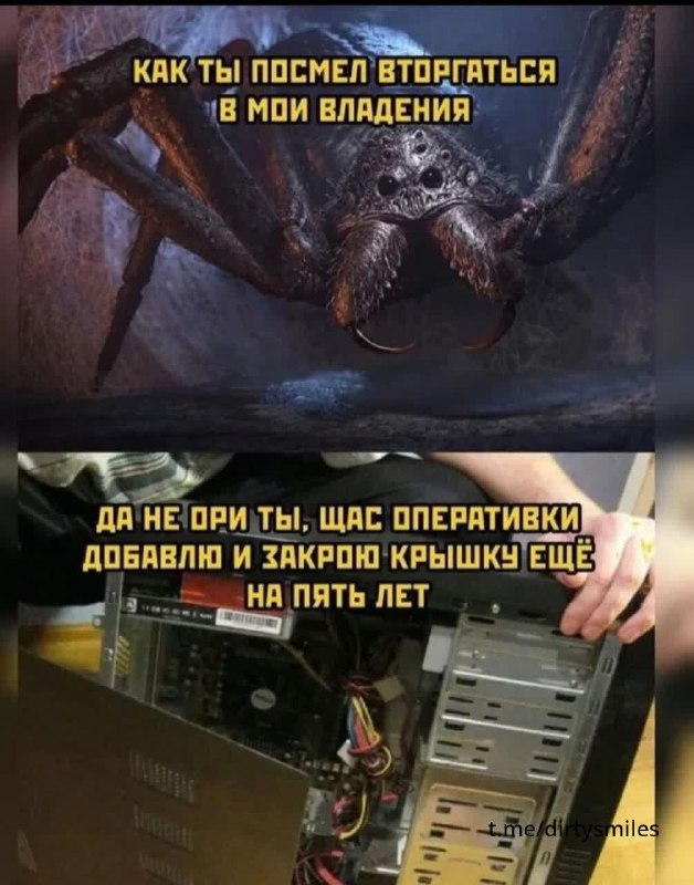Картинки и мемы, всем хороших выходных