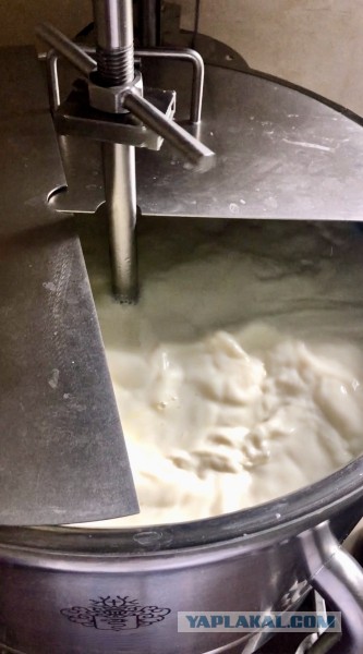 И что интересно! Он стал еще вкуснее ... за эти годы. Бель Паэзе