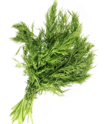 История о неправильно подключенном фекальном насосе