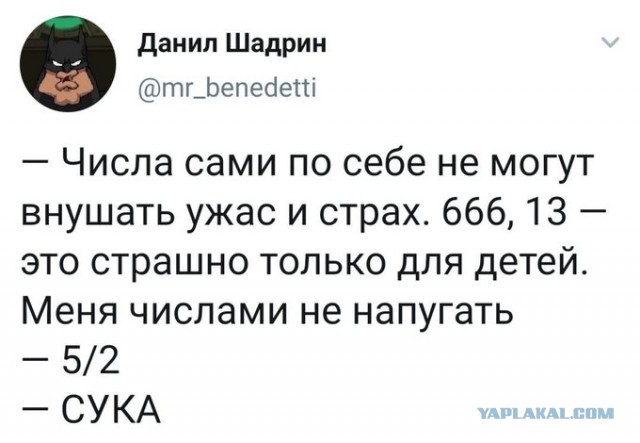 Так себе картинки 24.11.23